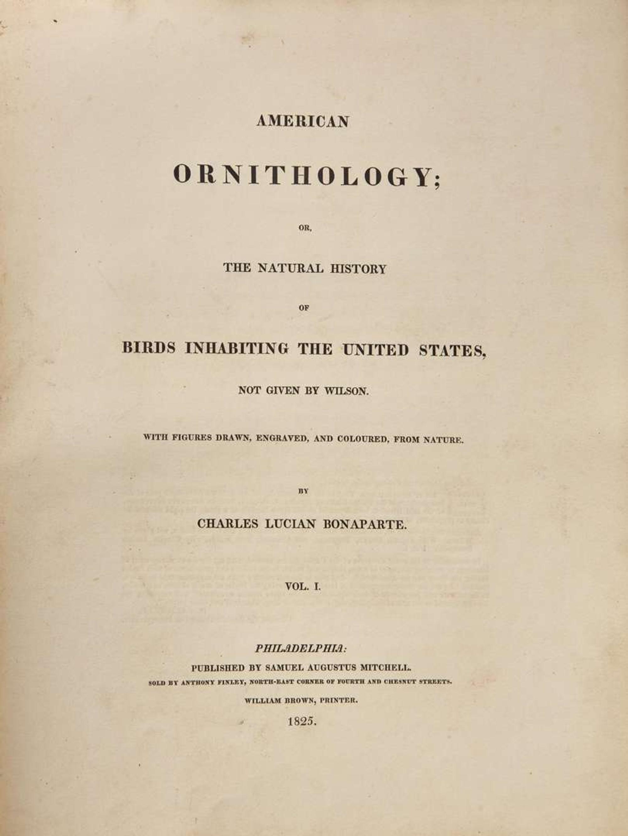 [Natural History] Bonaparte, Charles Lucian, and John James Audubon, et al.: American Ornithology; or, The Natural History of Birds Inhabiting the United States...