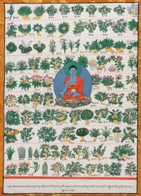 A Tibetan Thangka of a Medicine Buddha
