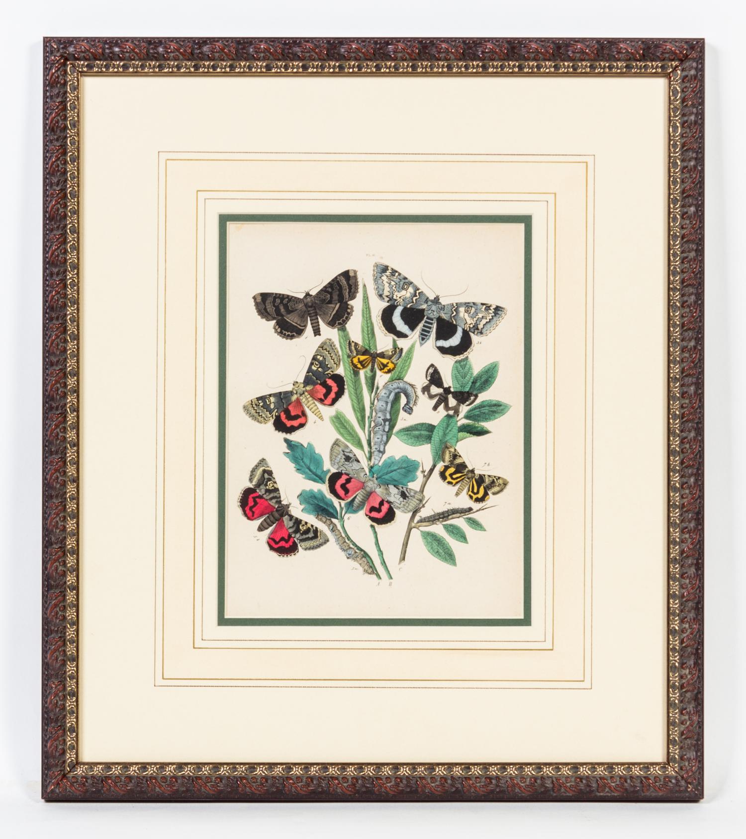 A Set of Four Handcolored Engravings Height of each 20 x width 17 inches.