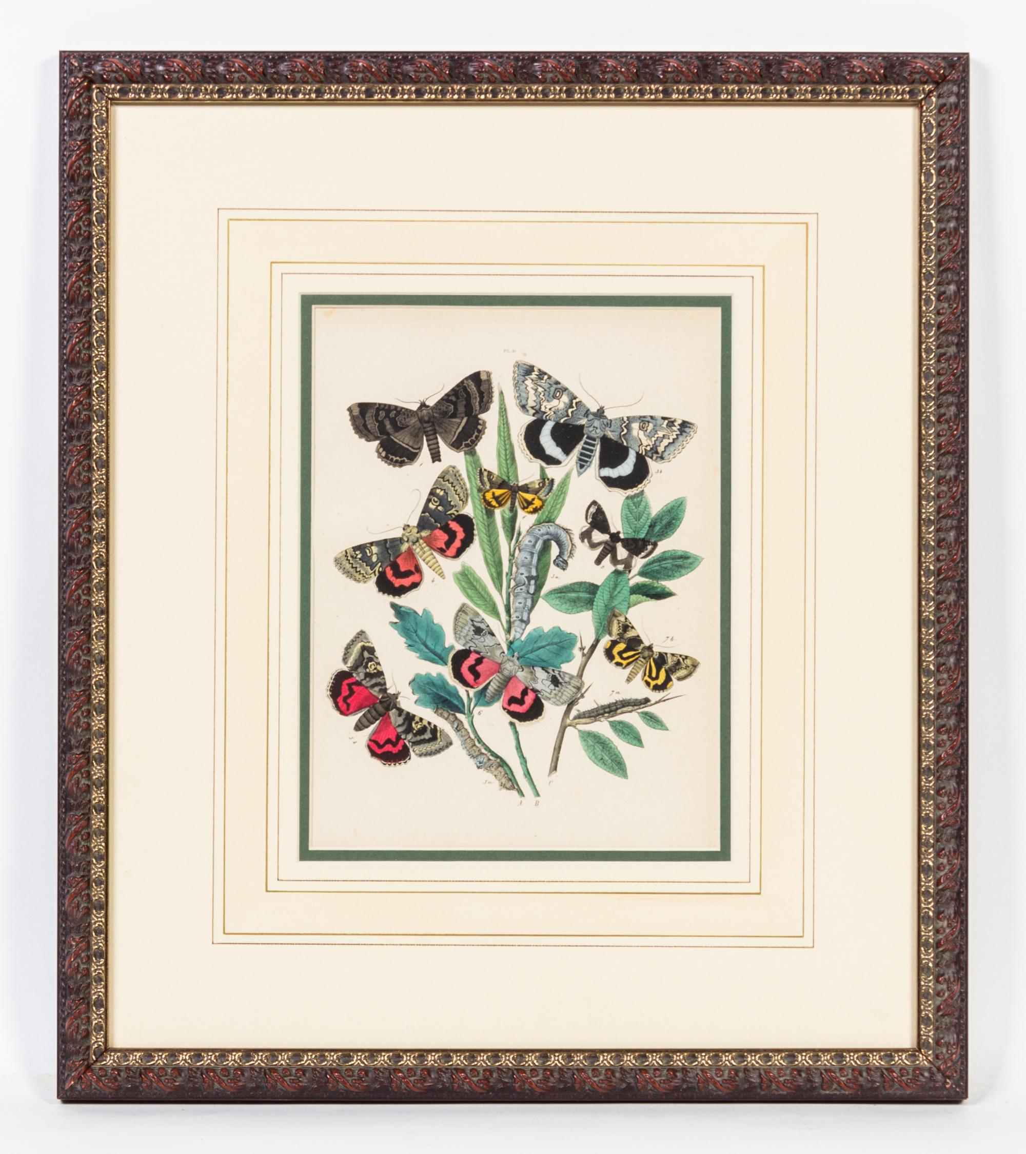 A Set of Four Handcolored Engravings Height of each 20 x width 17 inches.