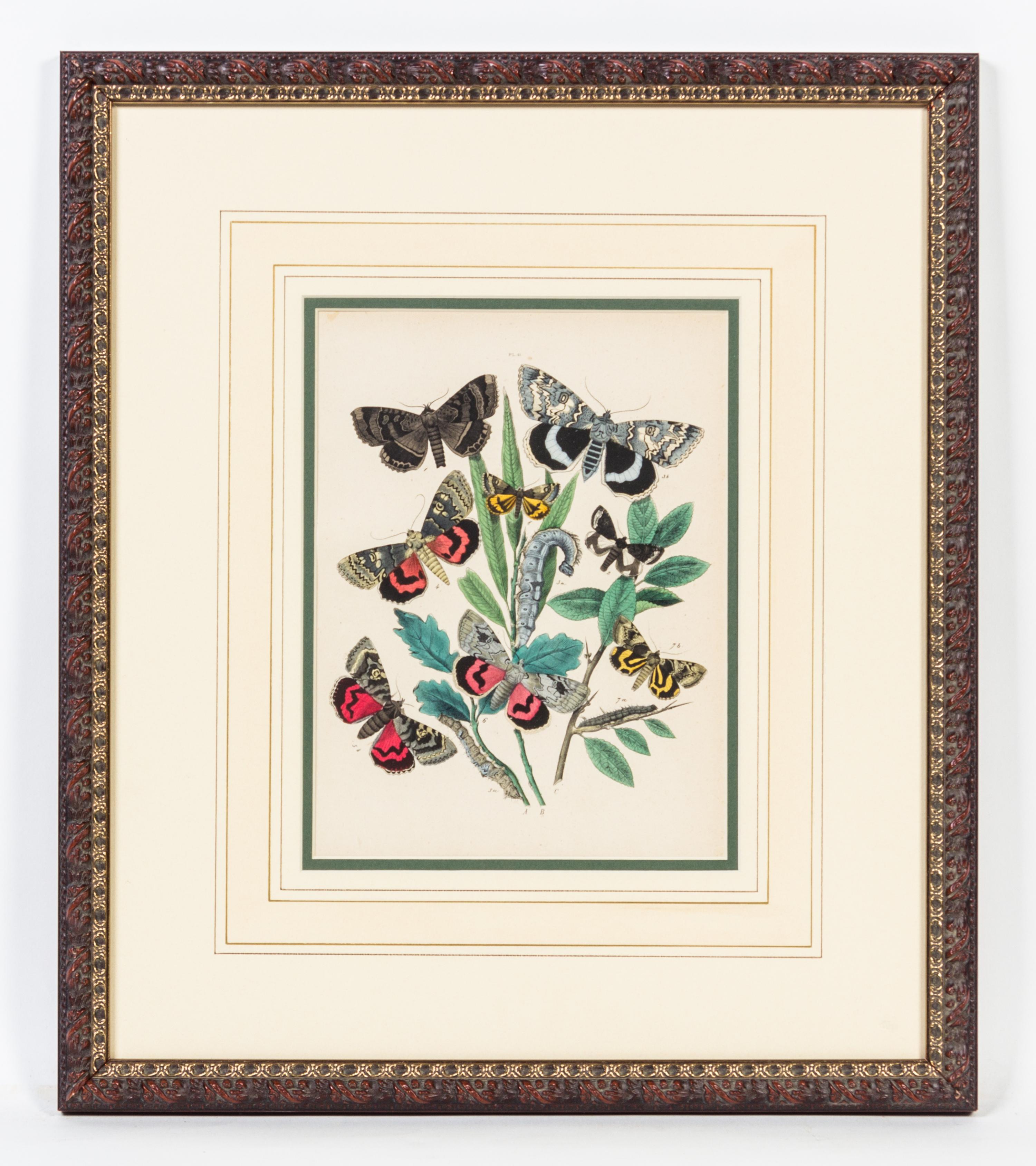A Set of Four Handcolored Engravings Height of each 20 x width 17 inches.