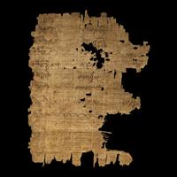 Two Coptic Papyri Fragments