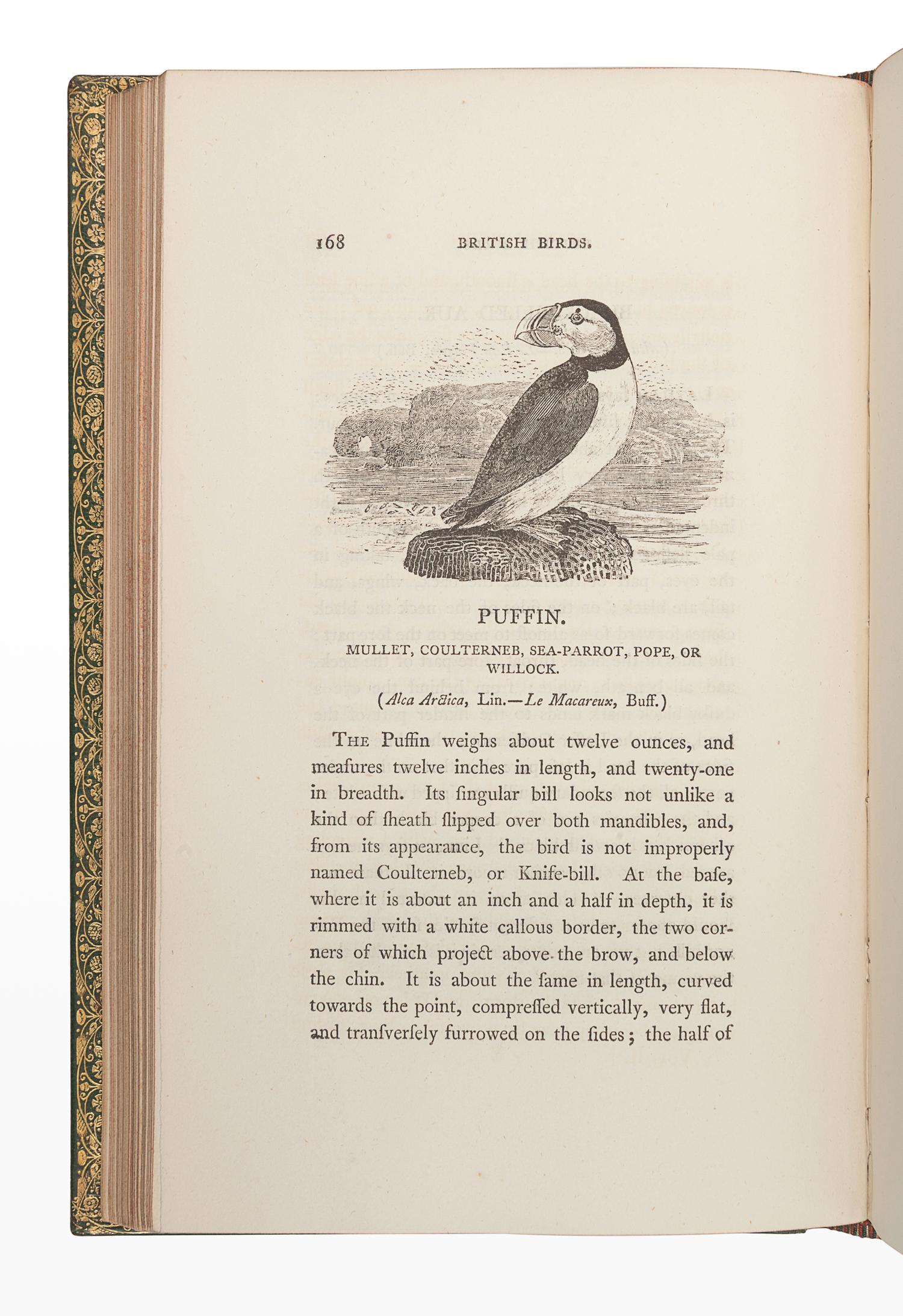 BEWICK, Thomas (1753-1828). A History of British Birds. Newcastle: Edward Walker, 1804.