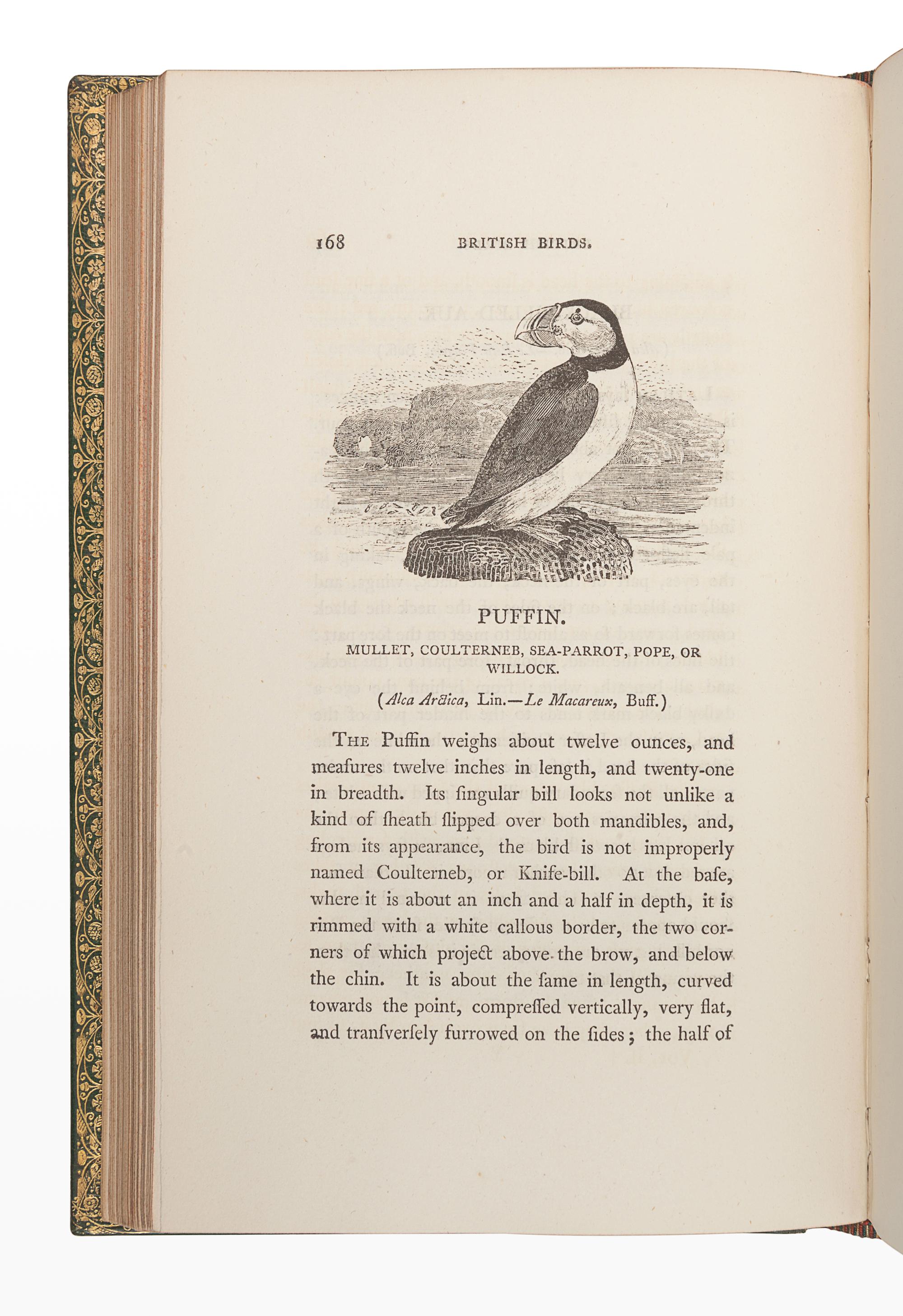 BEWICK, Thomas (1753-1828). A History of British Birds. Newcastle: Edward Walker, 1804.