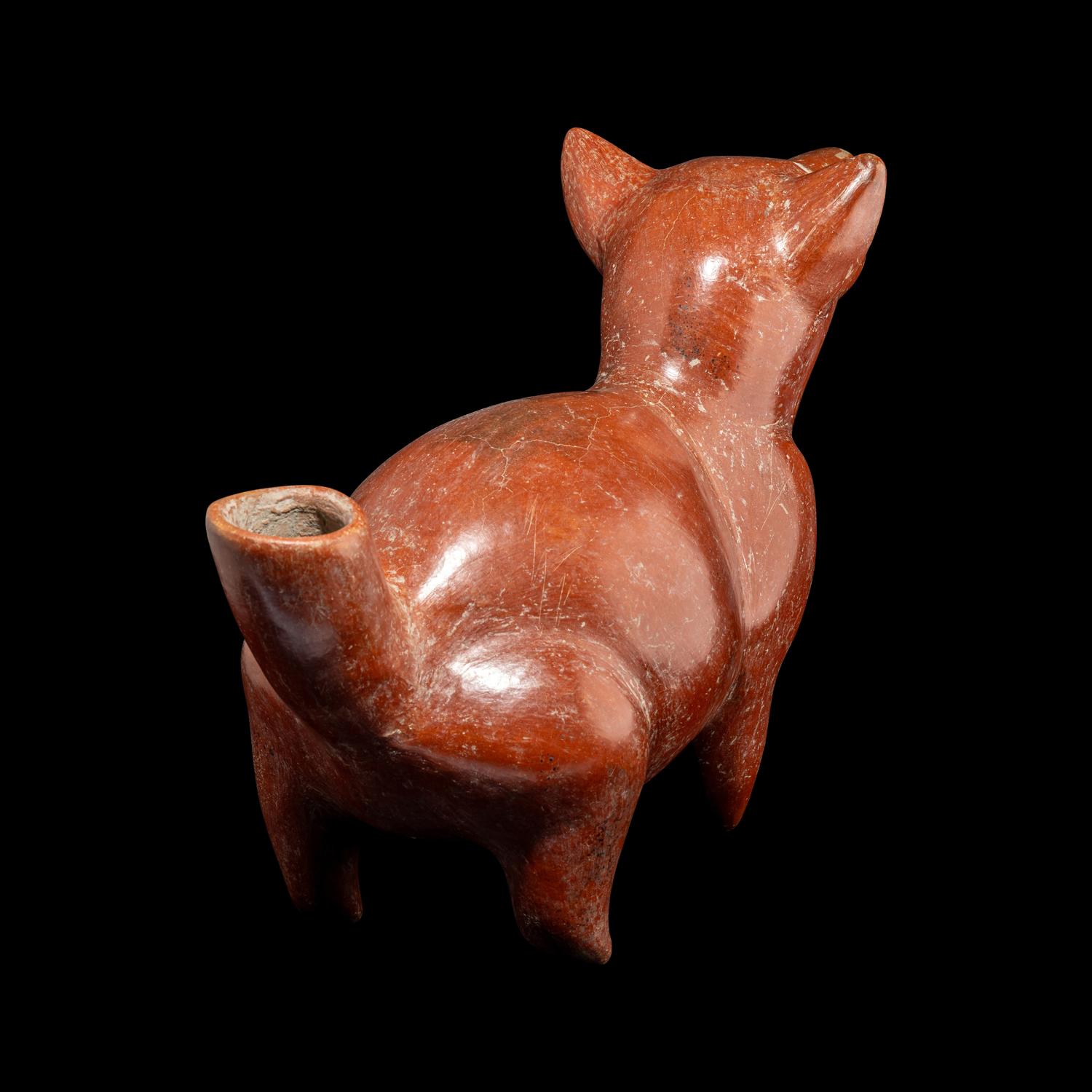 A Colima Dog Effigy Vessel