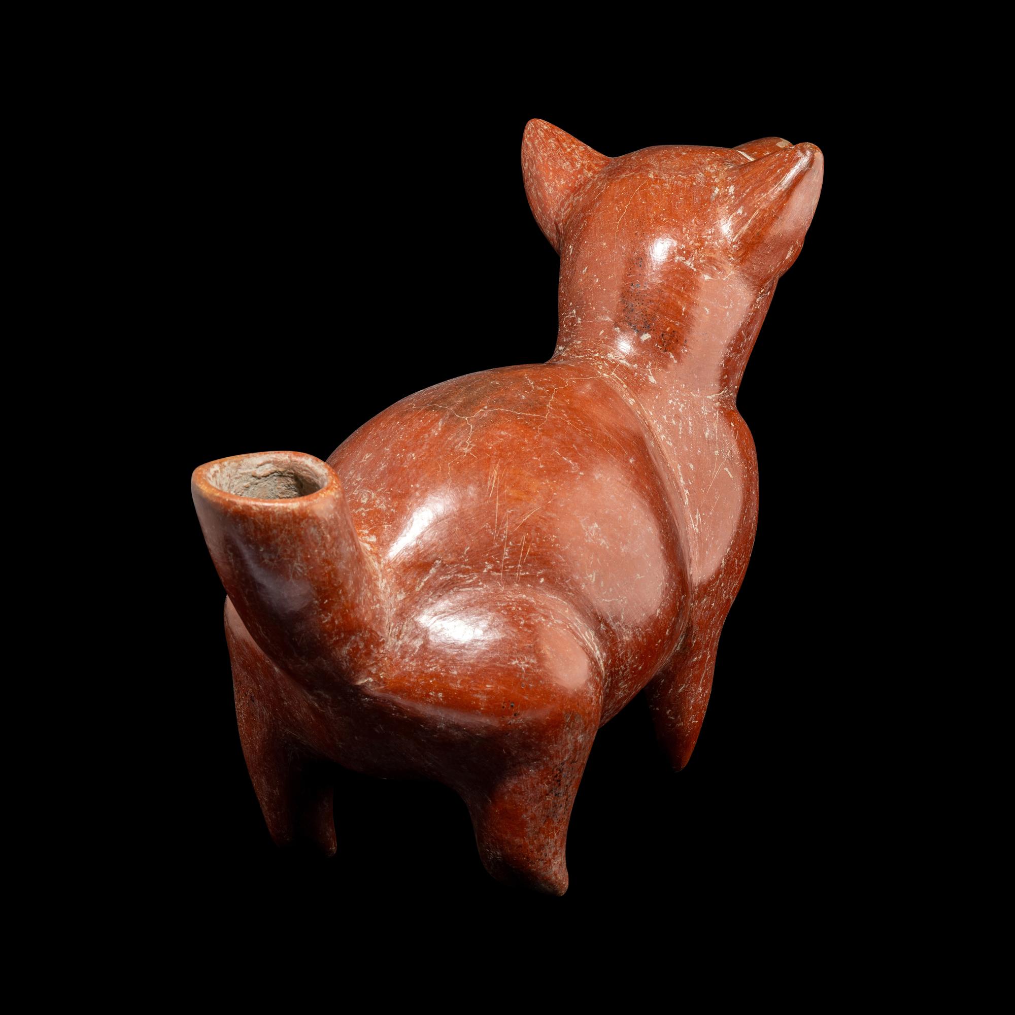 A Colima Dog Effigy Vessel