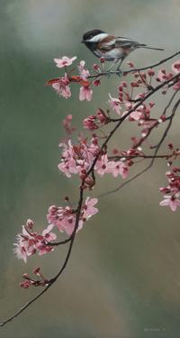 Spring Blossoms , 1997