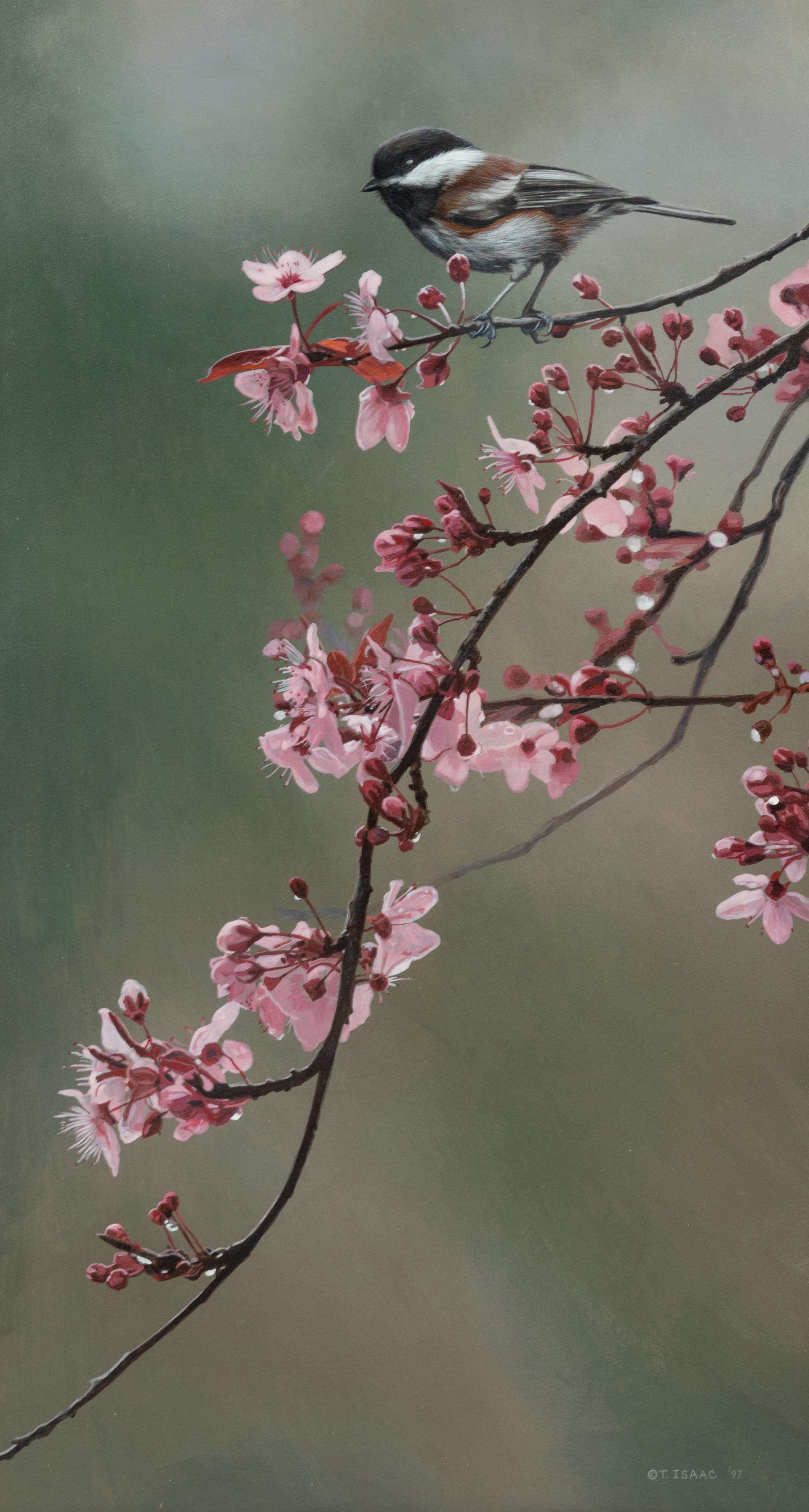 Spring Blossoms , 1997