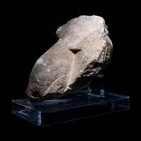 A Roman Marble Fragment of a Sphinx