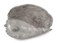 A Collection of Silvered Cast Metal Seashells