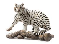A Connoisseur of Malvern Porcelain Model of a White Bengal Tiger Width 28 inches.