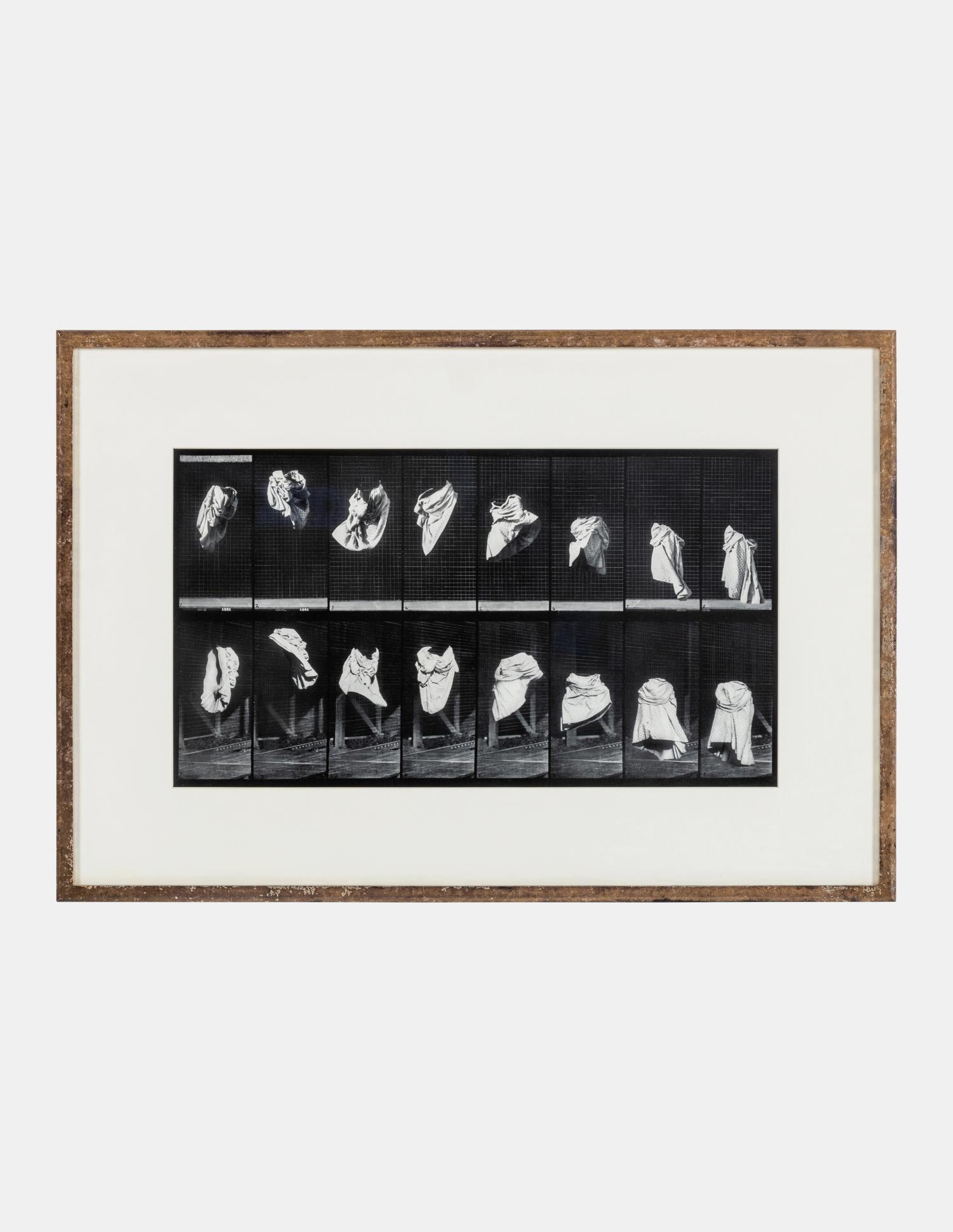 The Other Series: After Muybridge