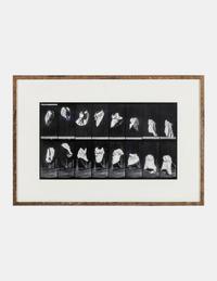 The Other Series: After Muybridge