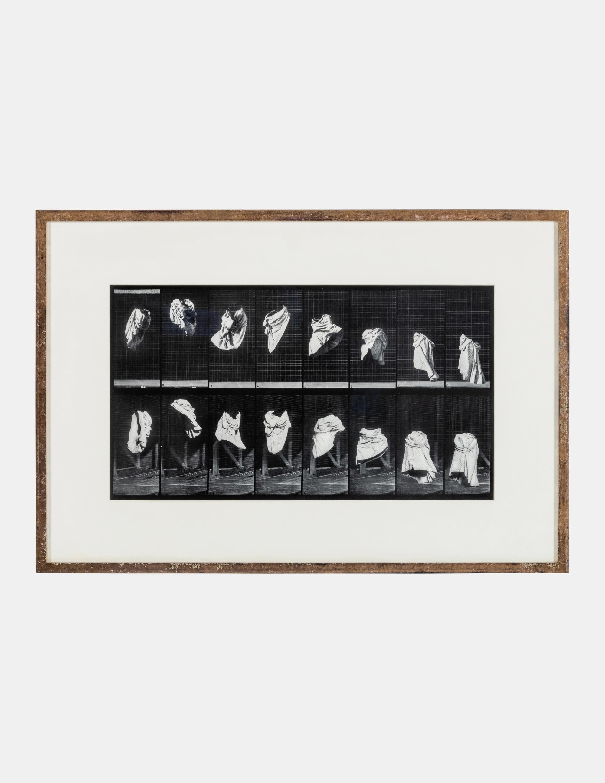 The Other Series: After Muybridge