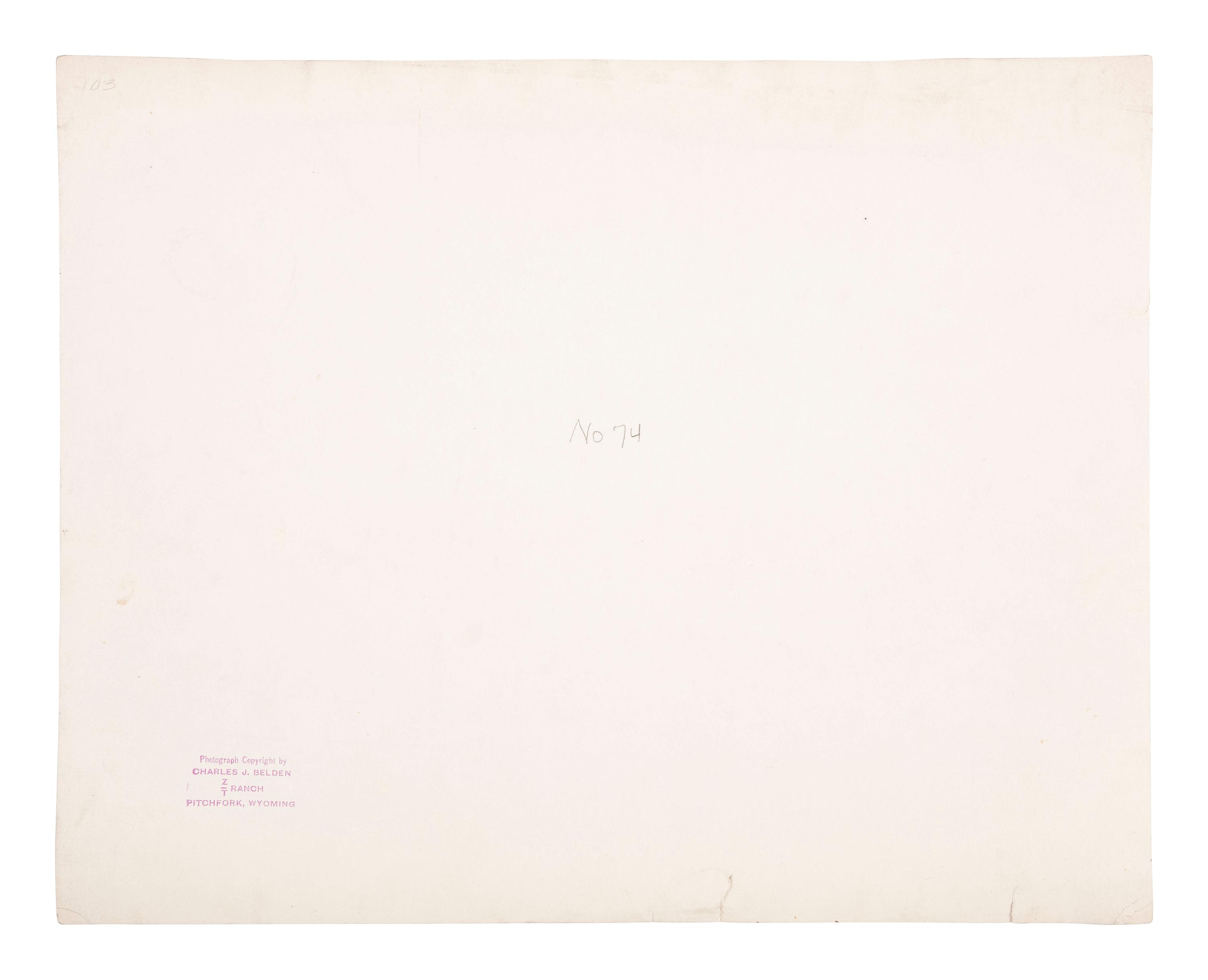 [WESTERN AMERICANA]. BELDEN, Charles J. (1888-1963), photographer. A group of 5 photographs of western subjects, incl. cowboys, cattle, and a coyote. Pitchfork Ranch, WY, ca 1910s-1940s.