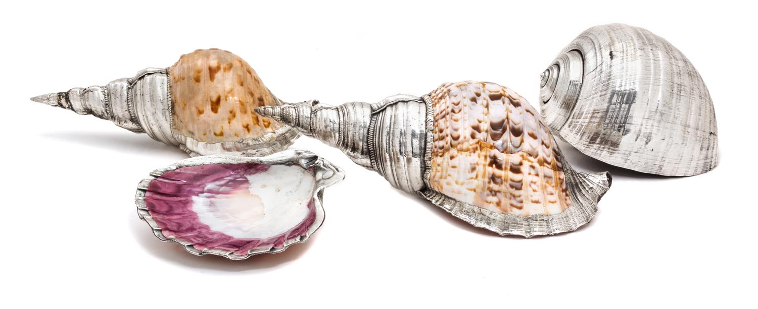 A Group of Four Silver Plated Shells Length of longest 11 3/4 inches. — 20TH CENTURY
