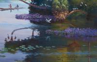 Florida Landscape