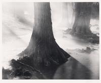 Untitled (Two Works)