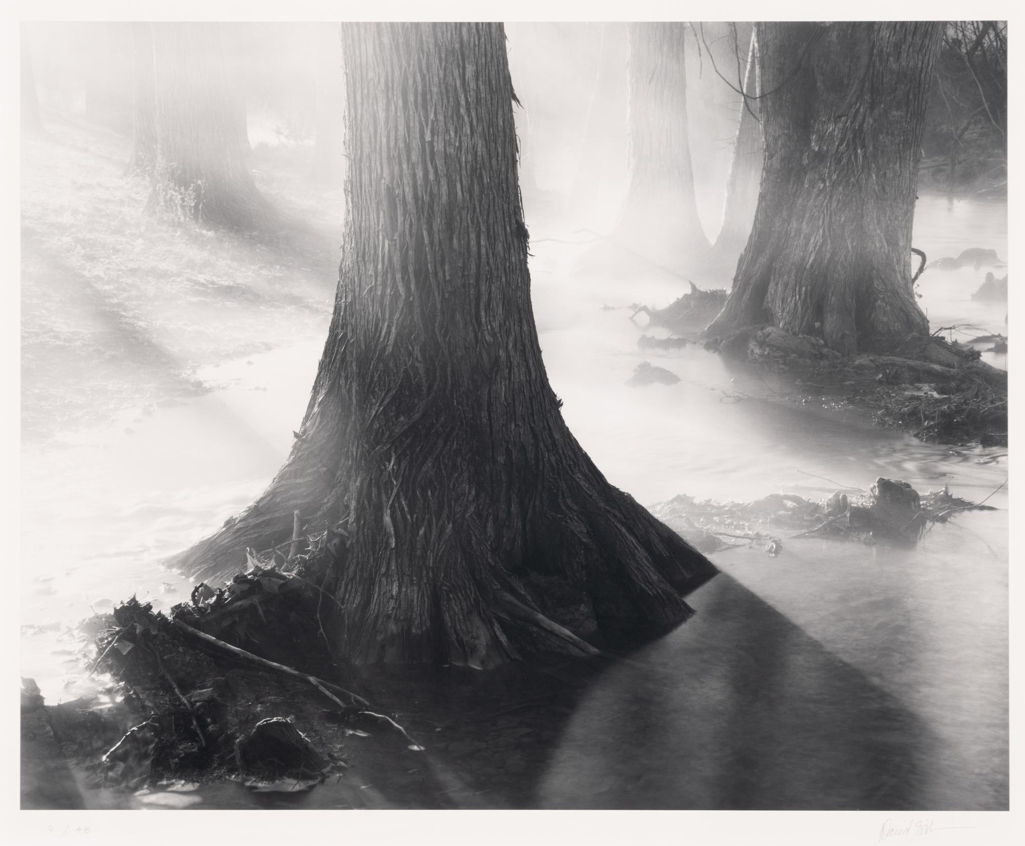Untitled (Two Works)