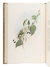 GOULD, John (1804-1881). A Monograph of the Trochilidae, or Family of Humming-Birds . London: Taylor and Francis for the Author, [1849]-1861.