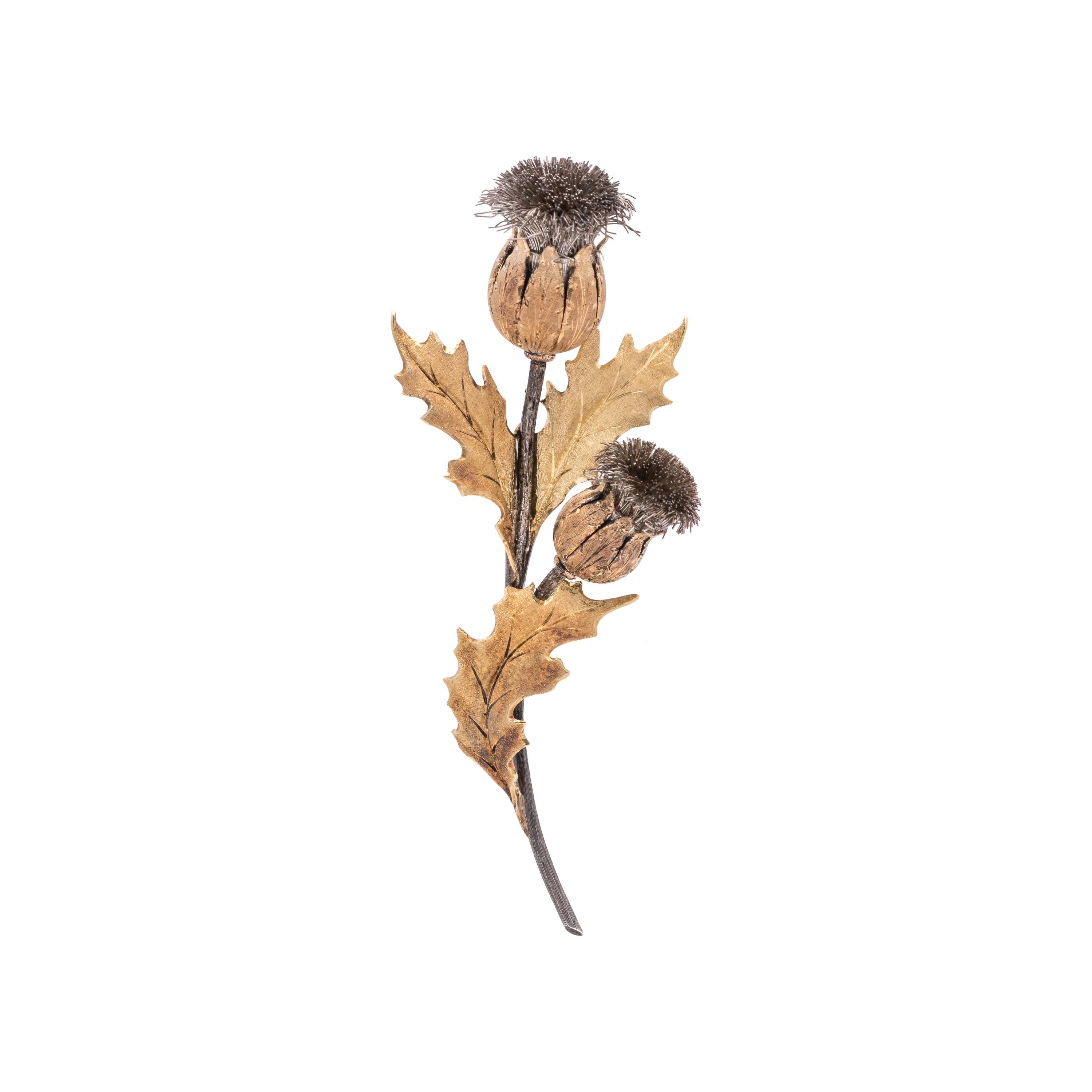 BUCCELLATI, TRICOLOR GOLD THISTLE BROOCH