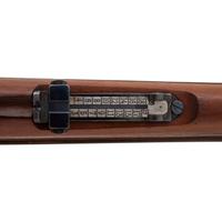 ** Argentine Mauser Model 1909