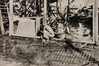 A Pair of Photographs