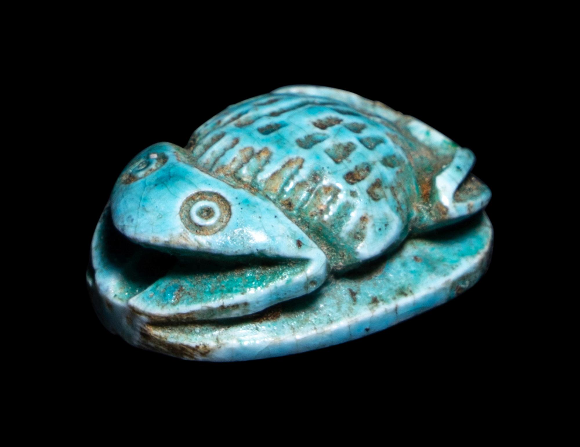 An Egyptian Faience Frog Scaraboid