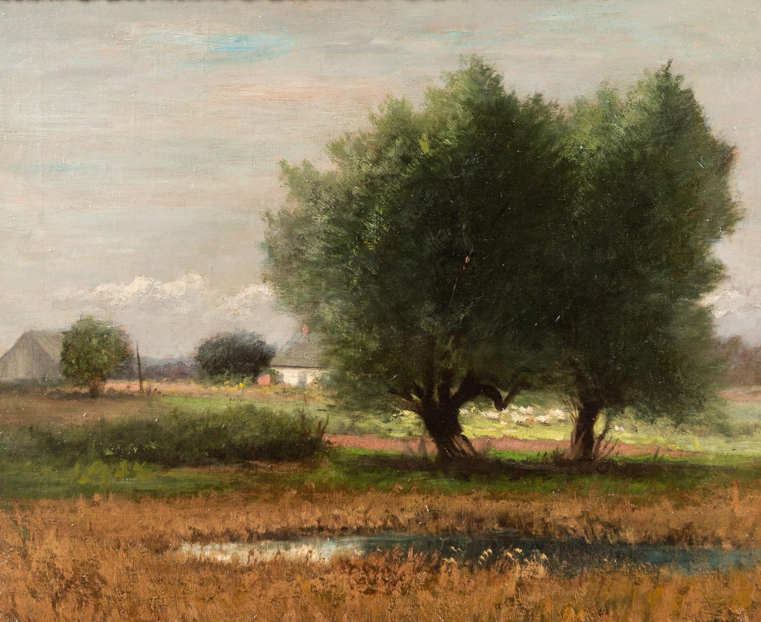 Pond and Pasture