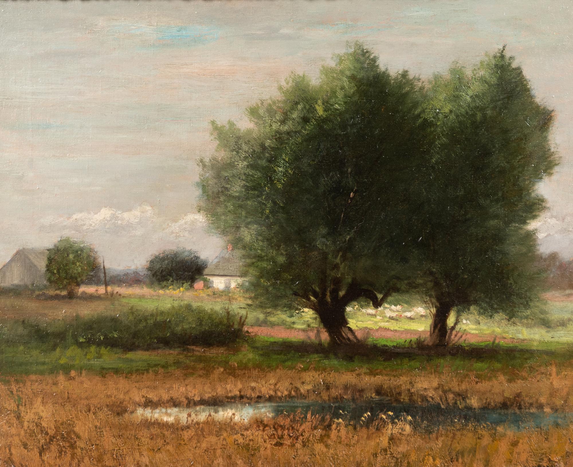 Pond and Pasture