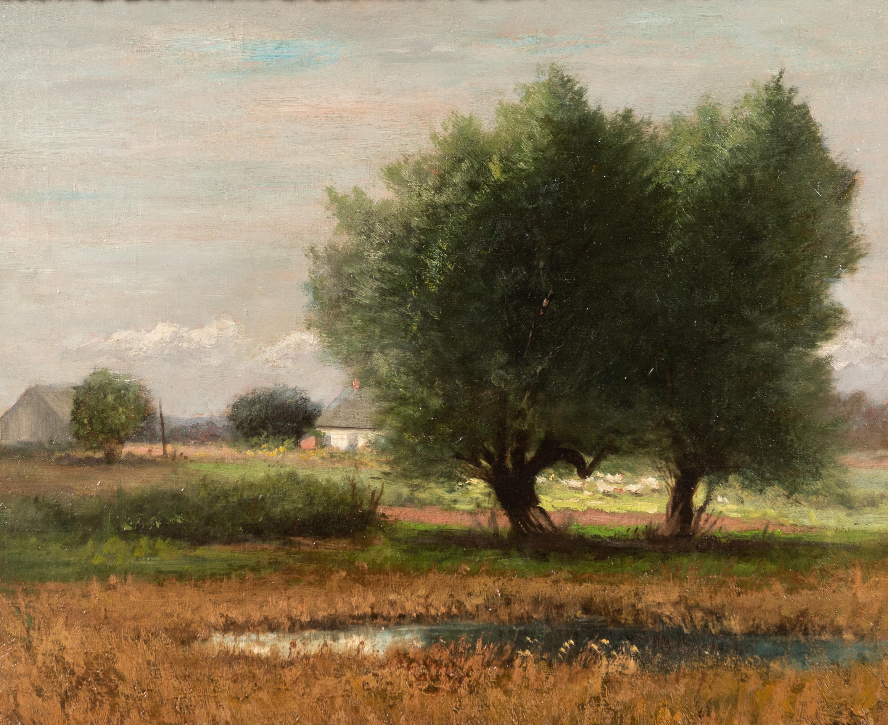 Pond and Pasture