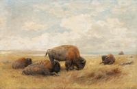 Mid-Day Buffalo