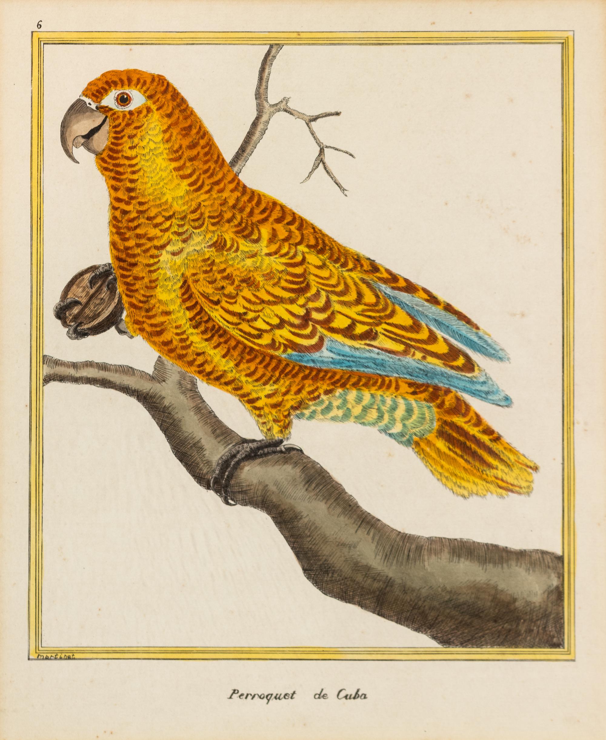 A Pair of Hand Colored Bird Engravings 10 1/2 x 8 1/2 inches. — 19TH CENTURY
