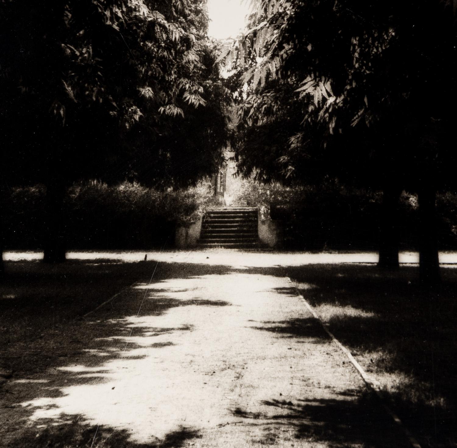 Shah Jahan's Tomb, Tree at Center, Agra , 1985, and Untitled (Garden) (Two Works)