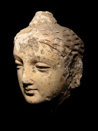 Two Gandharan Fragmentary Stucco Heads