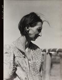 A group of five photographs