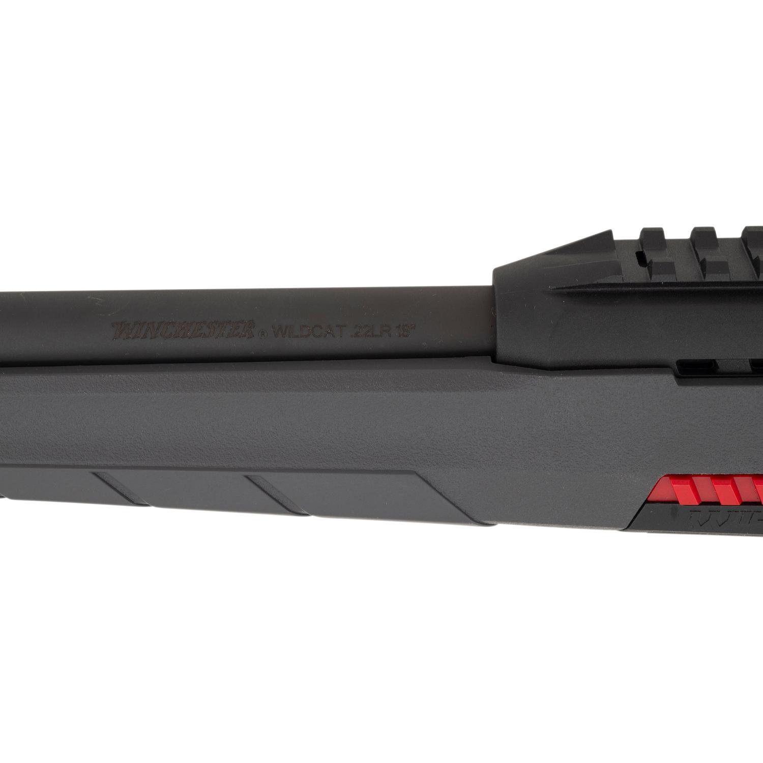 *Winchester Wildcat in Box