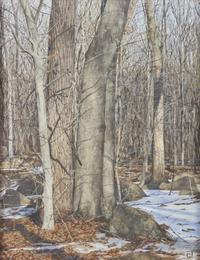 Winter Landscape