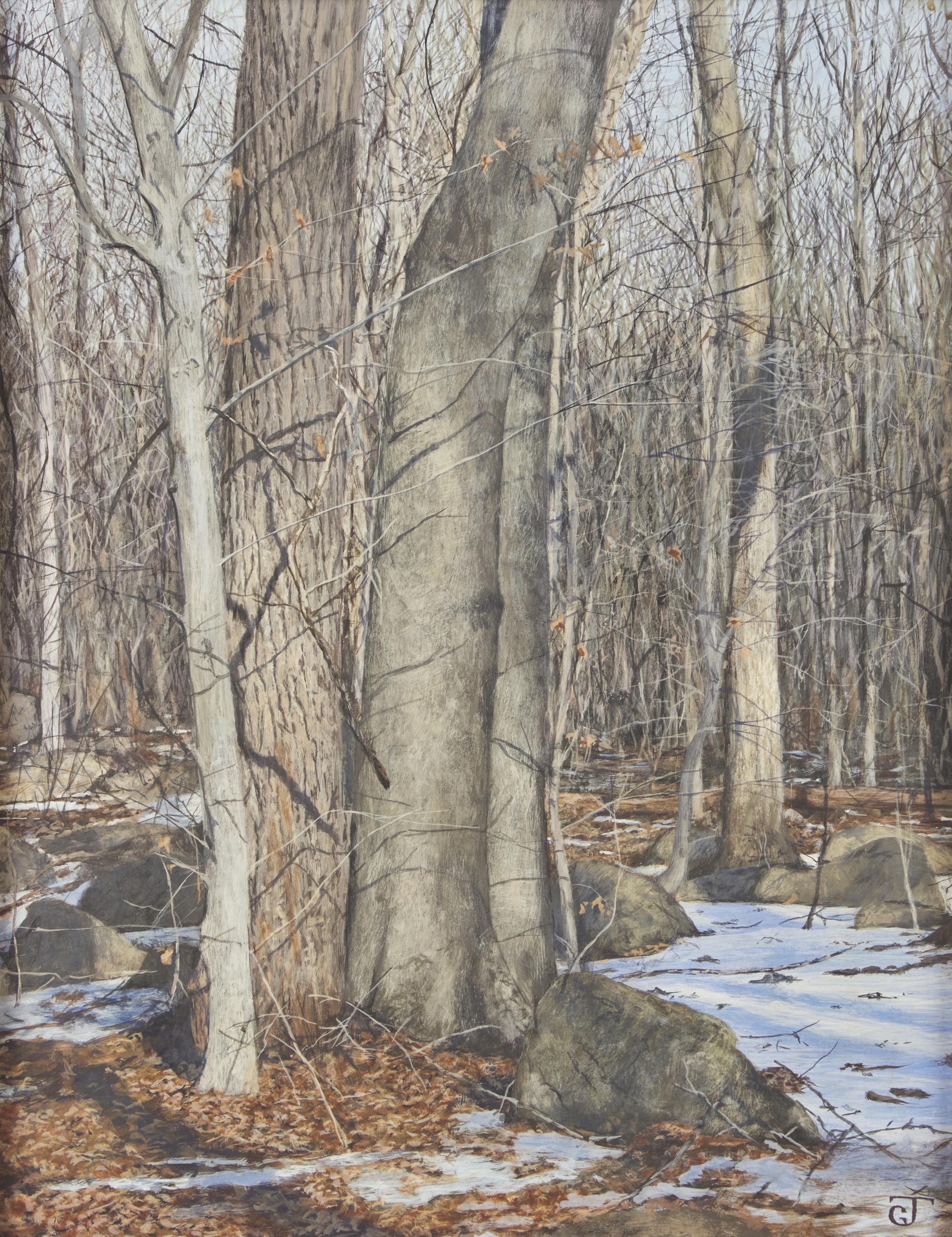 Winter Landscape