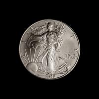 A Collection of Three Hundred and Twenty Silver Eagle $1 Coins