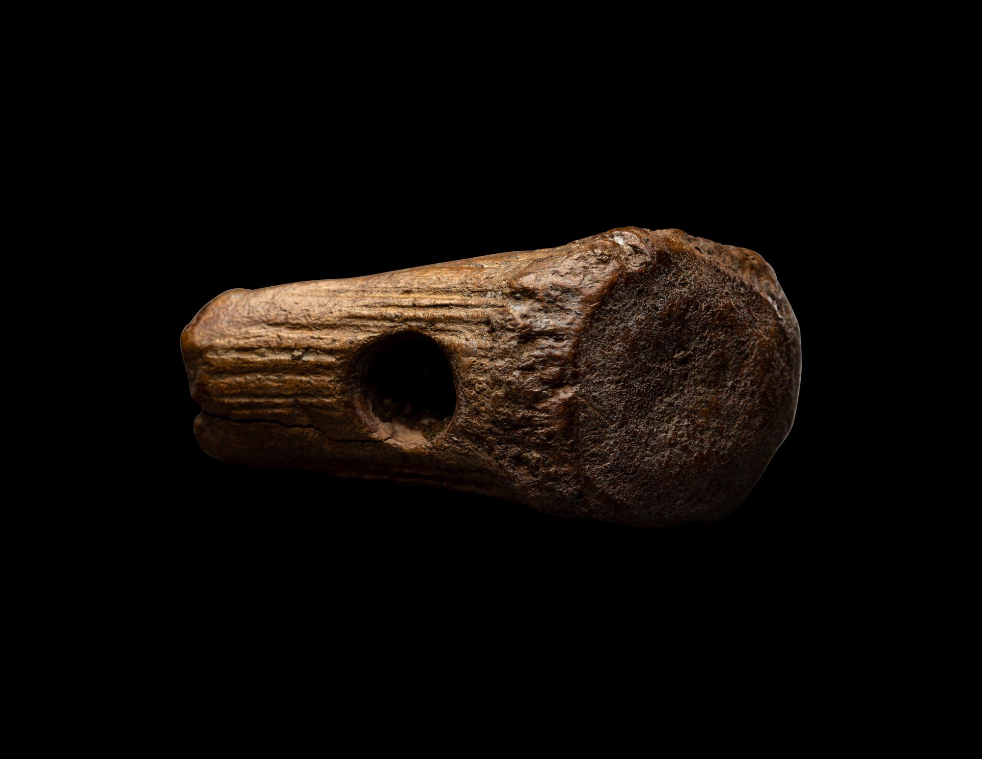A Mesolithic Fossil Antler Adze