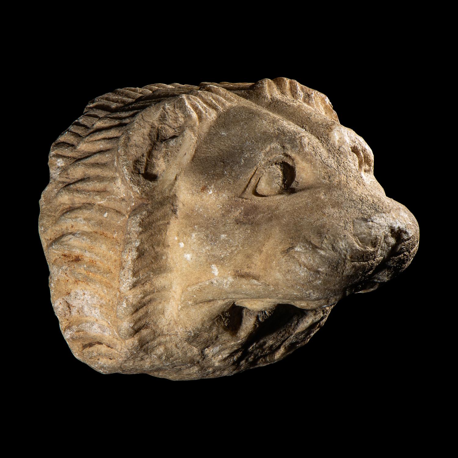 An Attic Marble Lion's Head Sima (Waterspout)