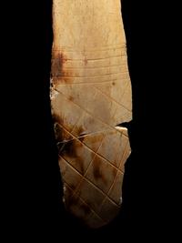 Four Oracle Bones