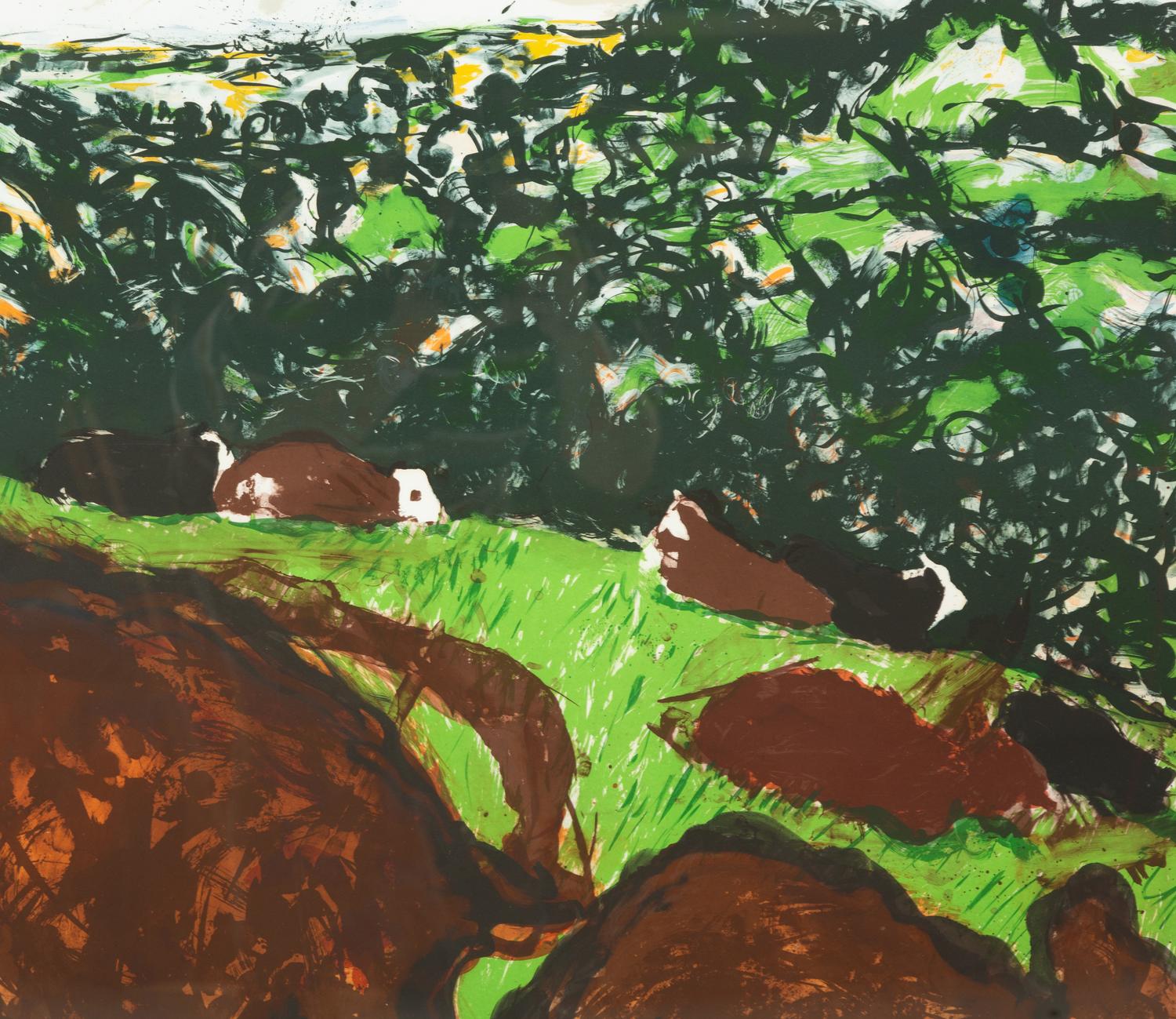 Devonshire Bullocks, 1982