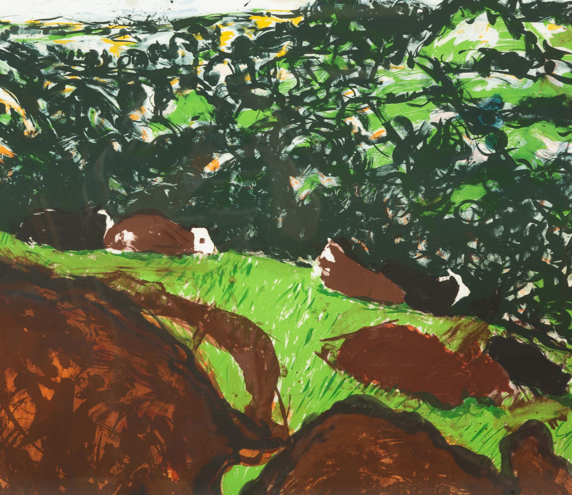 Devonshire Bullocks, 1982