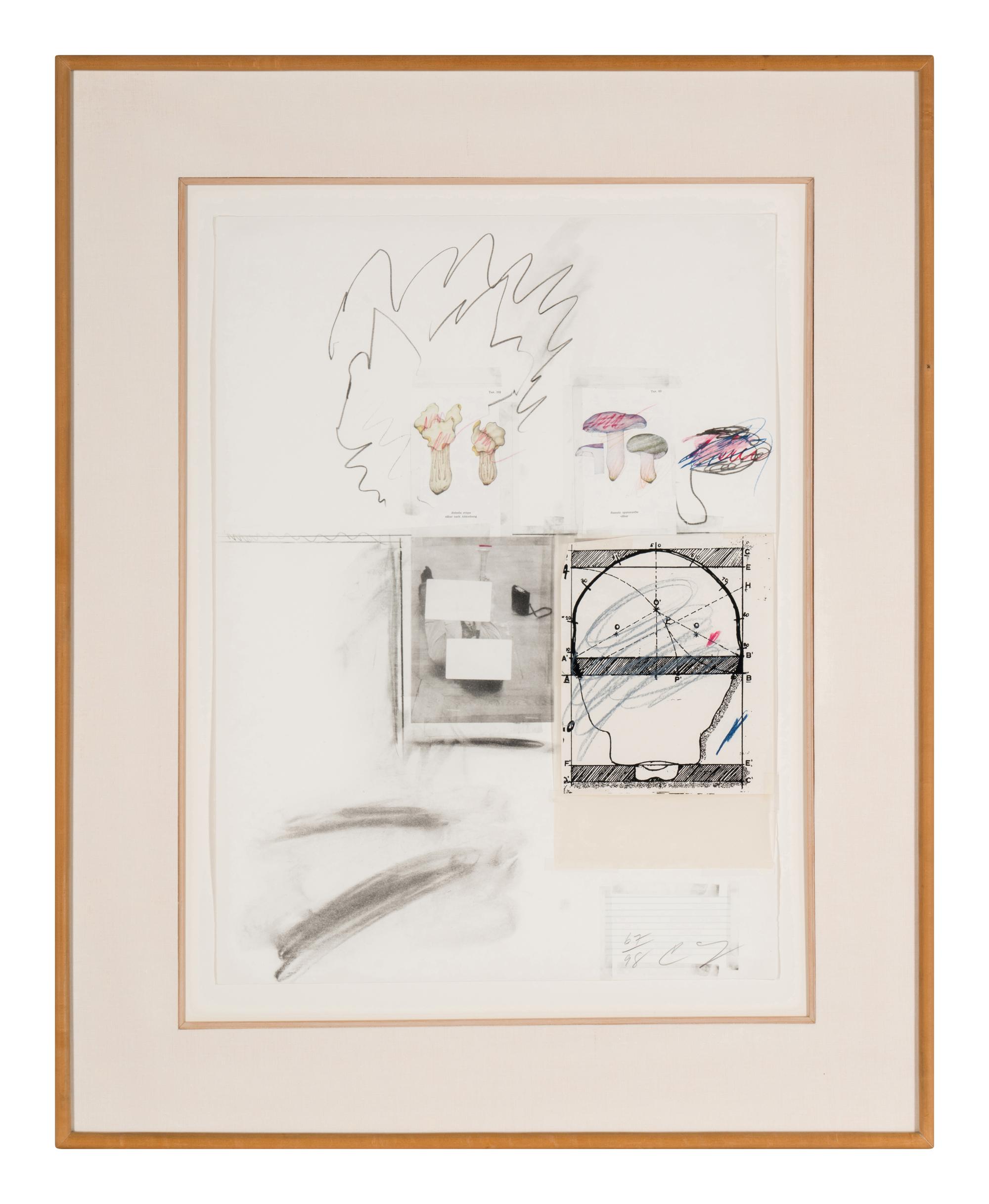 No. 2 (from Natural History, Part I, Mushrooms ), 1974