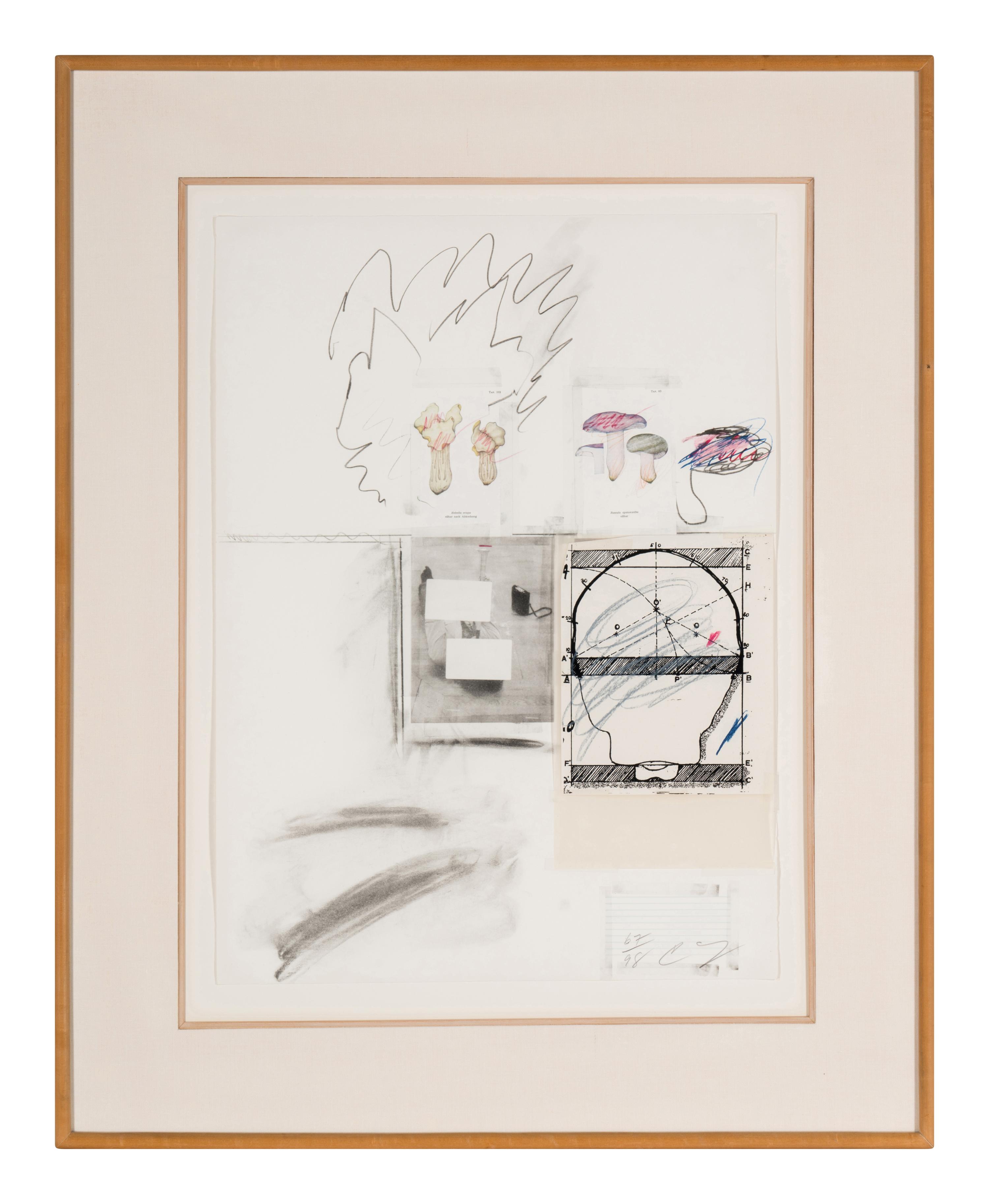 No. 2 (from Natural History, Part I, Mushrooms ), 1974