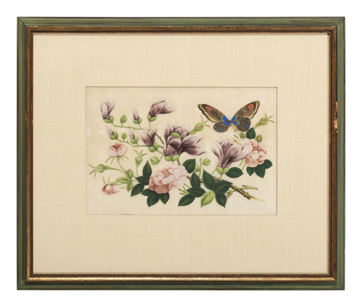 Three Chinese Pith Paintings of Butterflies and Flowers