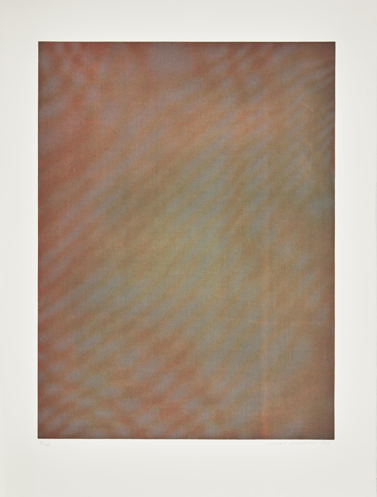 Mesh Moire I , 2012