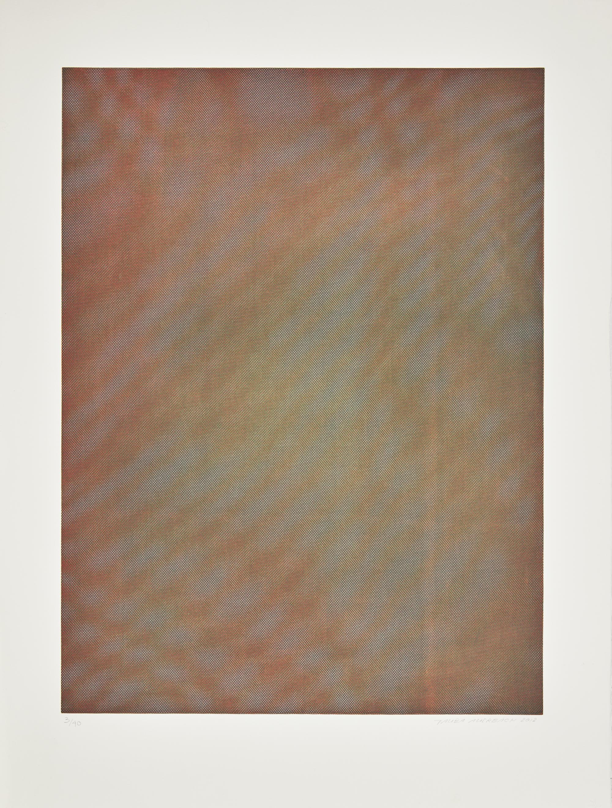 Mesh Moire I , 2012
